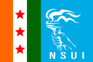 Nsui_flag_jpg.png