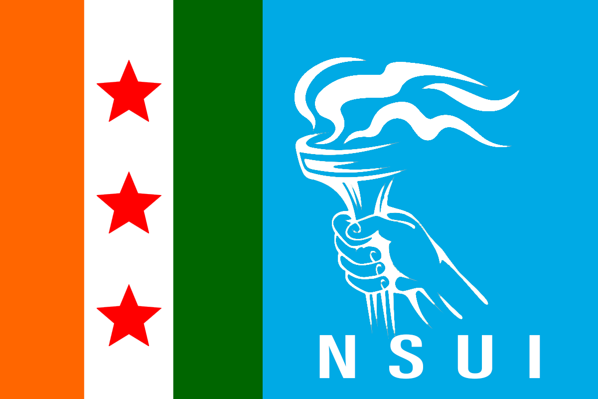 Nsui_flag_jpg.png