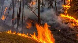 fire-in-uttarakhand-forest_1649596636.jpeg