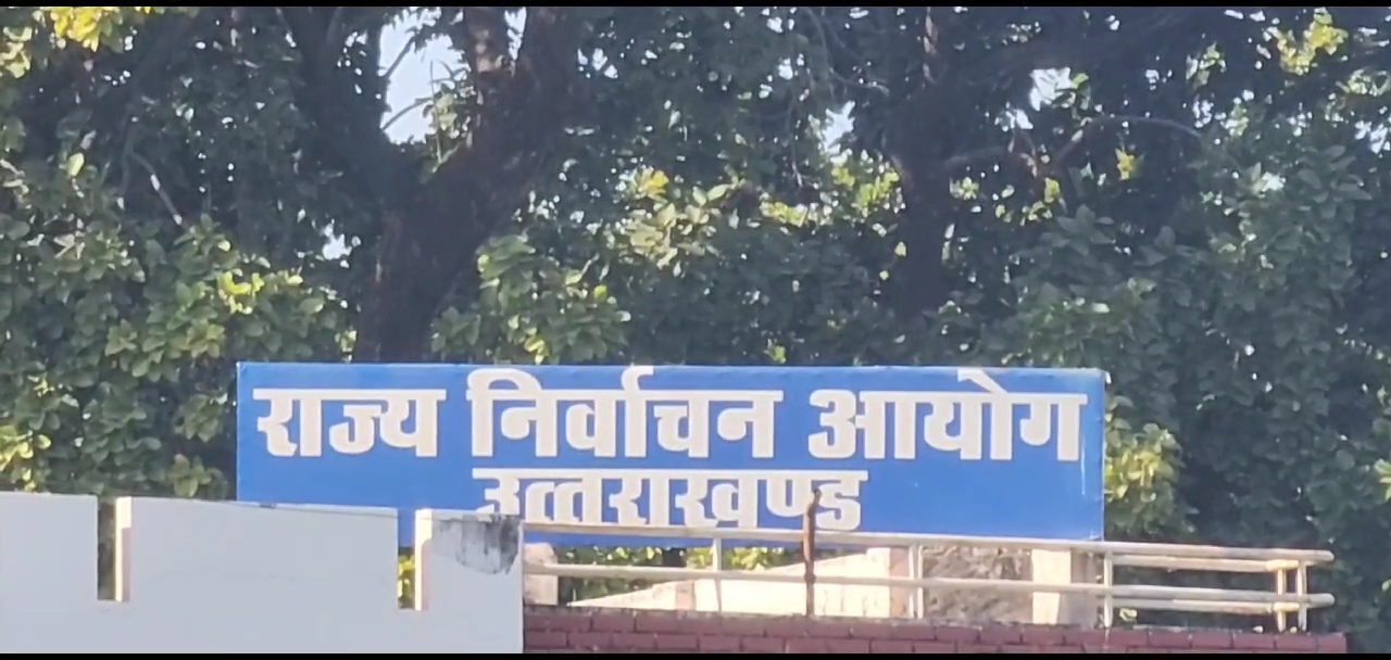 Videoshot_20241204_164431