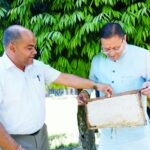 सीएम धामी ने शहद उत्पादन और मधुमक्खी पालन को बढ़ावा देने पर दिया जोर। Uttarakhand 24×7 Live news