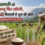 बासमती की खुशबू फिर लौटेगी, 160 किसानों ने शुरू की खेती। Uttarakhand 24×7 Live news