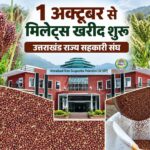 1 अक्टूबर से 250 केंद्रों पर होगी मिलेट्स की खरीद, किसानों से ₹52.05 प्रति किलो खरीदा जाएगा मंडुवा। Uttarakhand 24×7 Live news